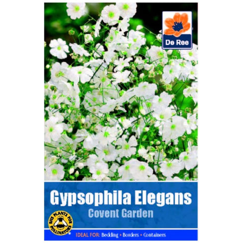 Gypsophilia Elegans White